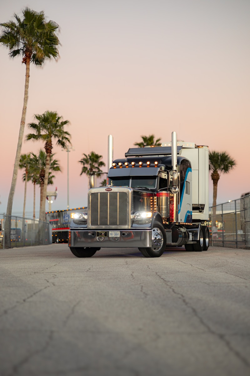 A semi-truck parked near palm trees at sunset.