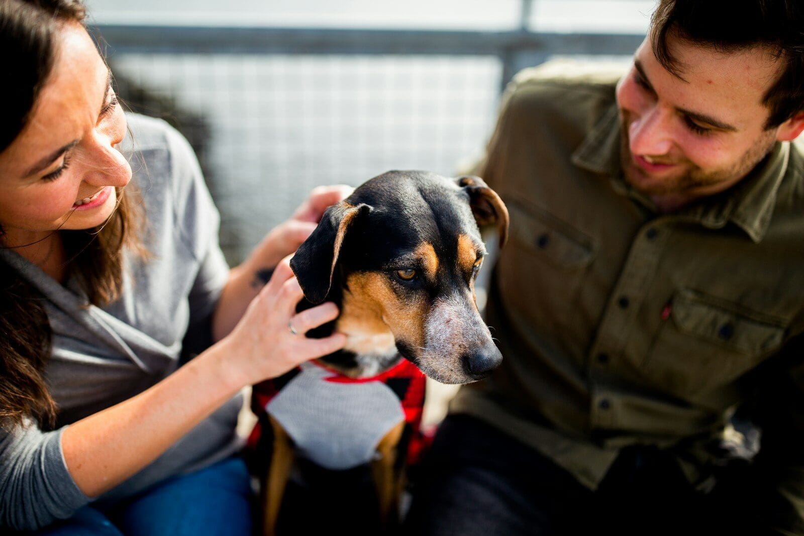 One Trip to the Vet Can Change Everything: Why Pet Insurance Matters